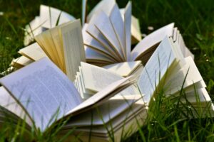 DAAD Helmut-Schmidt-Programme (Public Policy and Good Governance) Master's Scholarships 2027